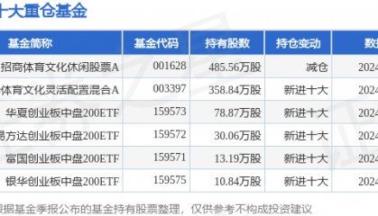 11月28日汤姆猫跌7.16%，招商体育文化休闲股票A基金重仓该股