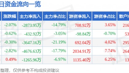 股票行情快报：高新发展（000628）6月13日主力资金净卖出2873.95万元