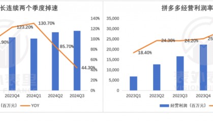 拼多多降速求变