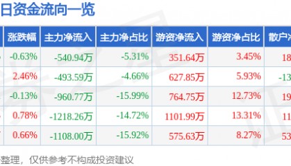 股票行情快报：ST张家界（000430）6月13日主力资金净卖出540.94万元