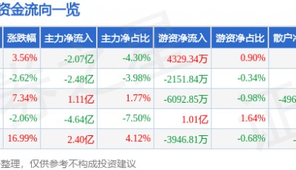 股票行情快报：赢时胜（300377）11月25日主力资金净卖出2.07亿元