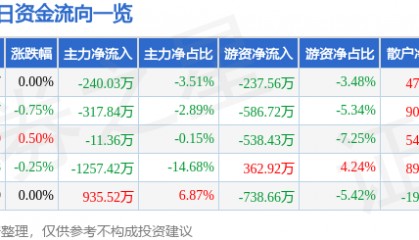 股票行情快报：新乡化纤（000949）6月11日主力资金净卖出240.03万元