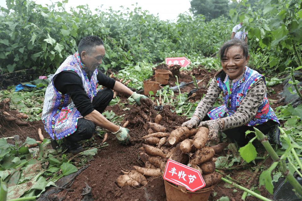 最新！拼多多发布！