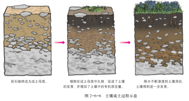 土壤基础知识