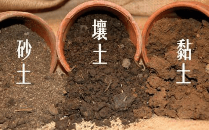 土壤基础知识