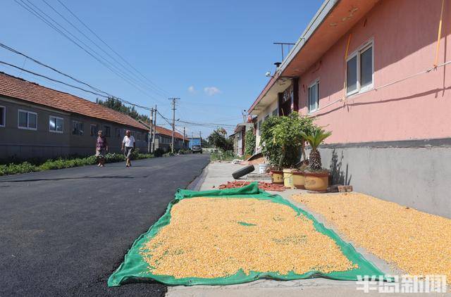 即墨尹家村万亩沥青路通车 秋收运输告别"颠簸时代"