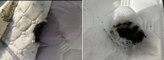 女子睡觉时，床上的它突然爆炸！紧急提醒